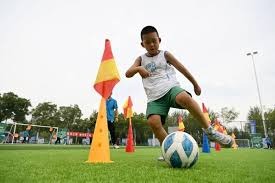 2026 WBC：日本队名单中“大势（Taisei）”表示，要在国际赛场证明侧投终结者的威力