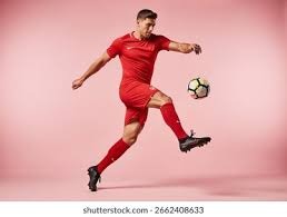 媒体人：若未得到詹姆斯授权就称他为作者是不妥的