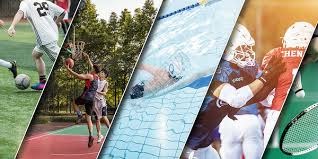 华裔篮球运动员林书豪宣布退役